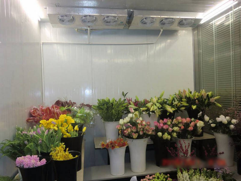 鮮花冷庫怎樣保鮮鮮花？是用風冷還是直冷？